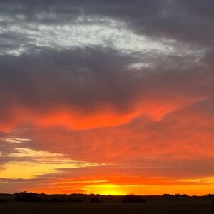 Meet your Posher, Colinda